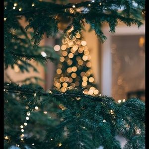 Meet your Posher, Estefanie